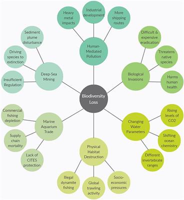 Often Overlooked: Understanding and Meeting the Current Challenges of Marine Invertebrate Conservation